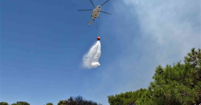 Antalya’da çamlık alandaki yangın kontrol altına alındı