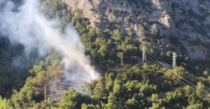 Feke’de orman yangını