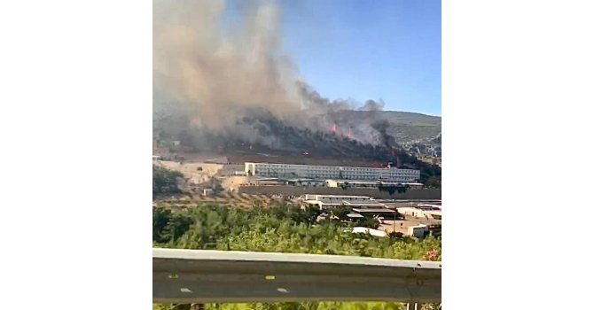 Mersin’deki orman yangını kontrol altına alındı