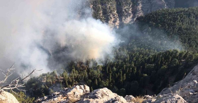 Mersin’de orman yangınına müdahale sürüyor