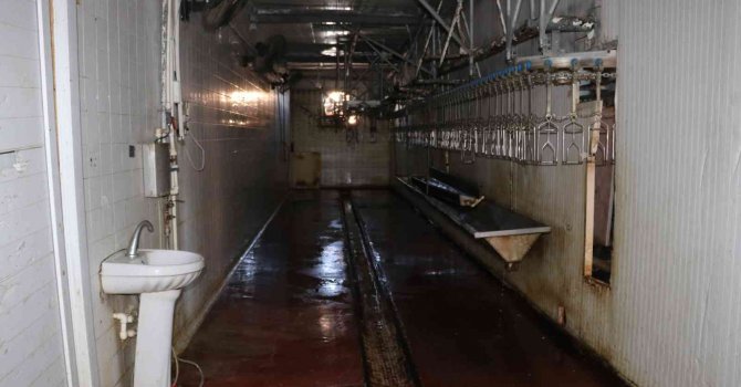 Skandal görüntüler üzerine İl Tarım ve Orman Müdürlüğü ekipleri denetimleri sıkılaştırdı