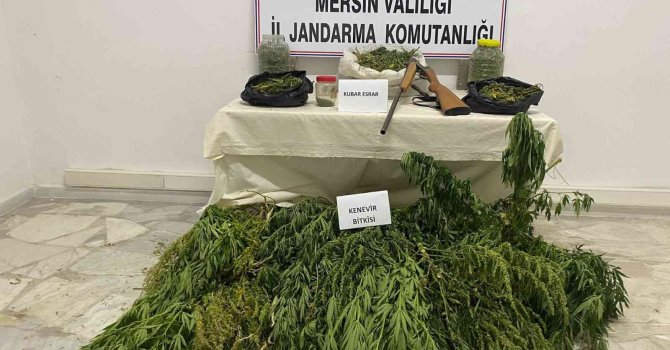 Çadıra uyuşturucu operasyonu