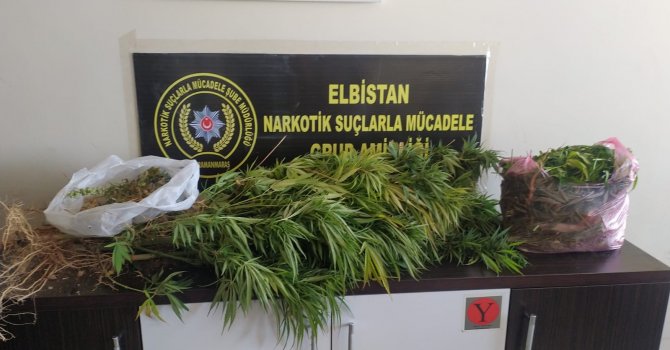 İş yerinde kenevir yetiştiren zanlı tutuklandı