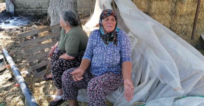 Manavgat yangının yıldönümünde yine yangınla mücadele etti