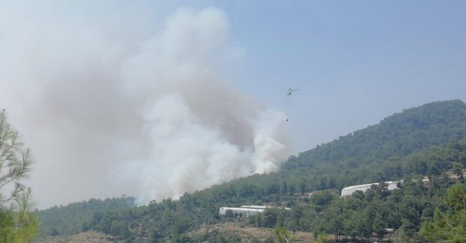 Mersin’de orman yangınına 2 uçak ve 5 helikopterle müdahale ediliyor