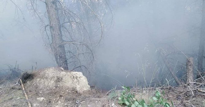 Burdur’da orman yangını