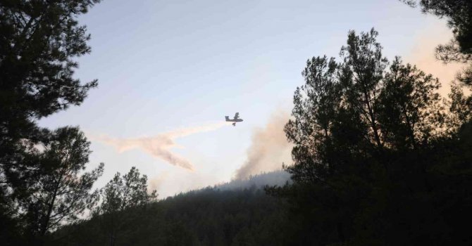 Vali Arslantaş: "Yangının kontrol altına alınması için ekipler cansiparene çalışıyor"
