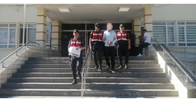 Adana’da orman yangını çıkartan şüpheli tutuklandı