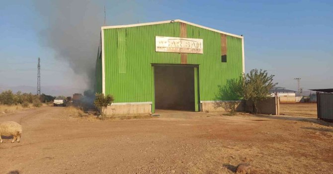 Hatay’da çiftlikteki yangında samanlar kül oldu