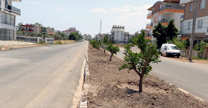 Kepez’e portakallı cadde