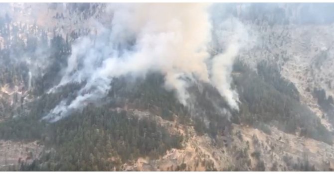 Mersin’deki orman yangınına müdahale ediliyor