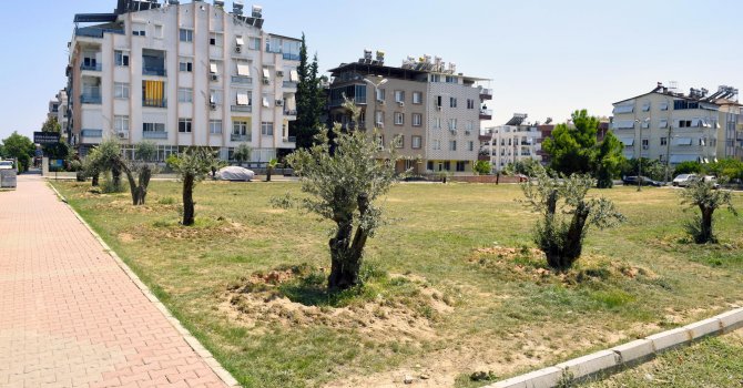 Kepez görsel kirliliği yeşillendiriyor