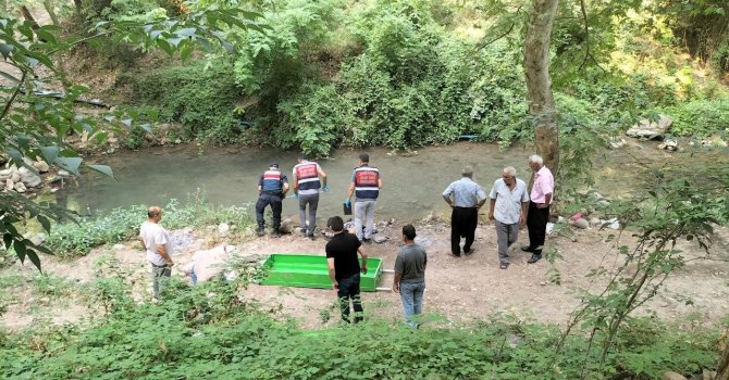 Mesire alanında suya düşen yaşlı adam boğularak hayatını kaybetti