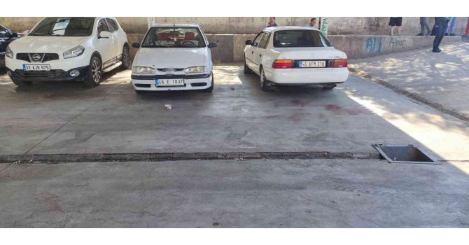 Hem silahla hem bıçakla yaraladılar