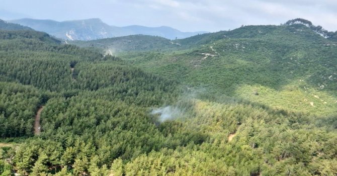 Osmaniye’deki orman yangını kontrol altına alındı