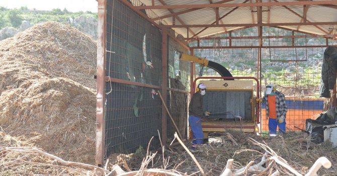 Dal atıkları kompost gübre oluyor