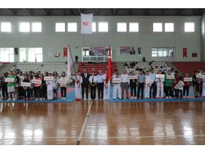 Anadolu Yıldızları Ligi karate finalleri İskenderun’da başladı