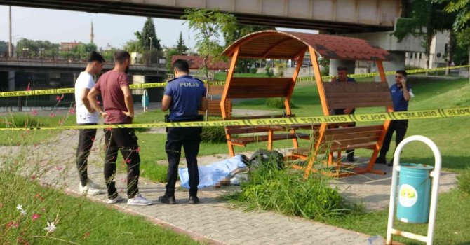 Kağıtçı parkta ölü bulundu