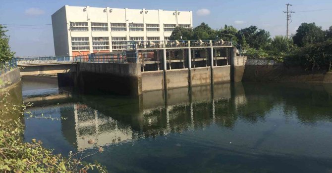 Aynı yerde 4 günde üçüncü ceset bulundu