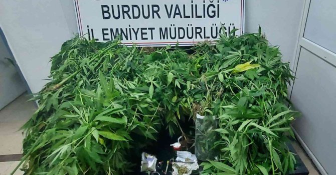 Burdur’da seraya uyuşturucu operasyonu: 1 tutuklama