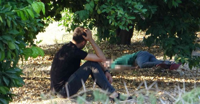 Ailesine "ölüme gidiyorum" dedi, üniversite bahçesinde cansız bedeni bulundu