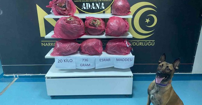 Adana’da 20 kilo 736 gram esrar ele geçirildi