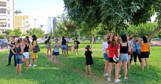 Antalya’da köpek ve kedi zehirlenmeleri hayvanseverleri ayaklandırdı