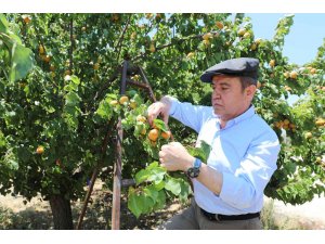 Büyükşehir ‘Çevre Dostu Çiftçi Kart Projesi’ni başlatıyor
