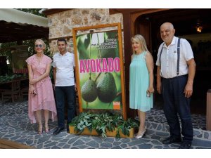 Akademisyenler avokadonun kitabını yazdı