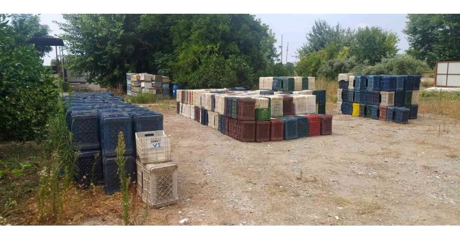 Hatay’da 963 adet narenciye kasası çalan zanlı yakalandı