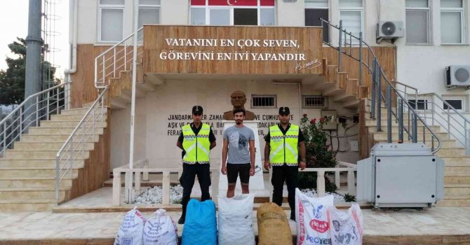 13 çuval keçiboynuzu çalan 6 kişi yakalandı