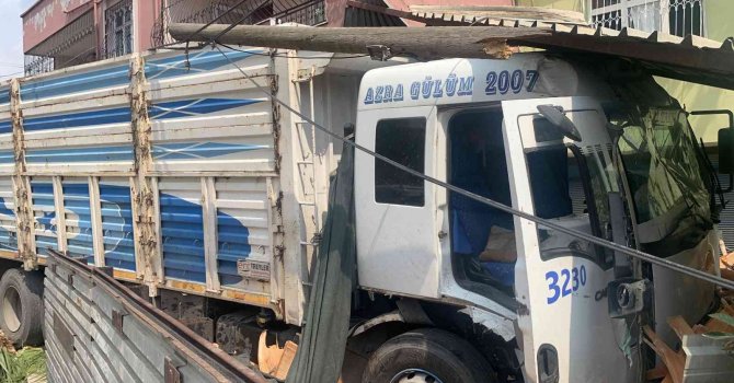 Kamyon, ağaca ve oturan adama çarpıp odunluğa girdi