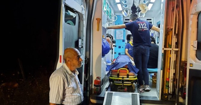 Kontrolden çıkan otomobil zeytin bahçesine uçtu: 2 yaralı