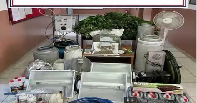 Kaçak elektrikle uyuşturucu yetiştiren 2 kişi gözaltına alındı