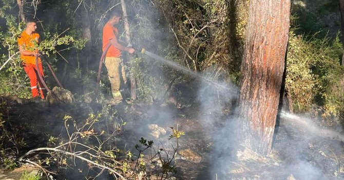 Alanya’daki orman yangını hızlı müdahaleyle büyümeden söndürüldü