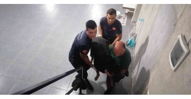 Antalya’da itfaiyeden bodrumda yaşayan ’Şişman köpek’ operasyonu