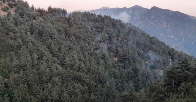 Kahramanmaraş’taki orman yangını kısmen kontrol altına alındı