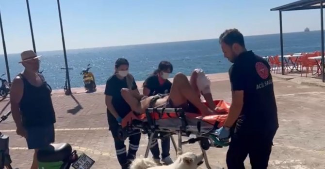 Kendisi için bıçaklanan sahibine köpekten duygulandıran vefa