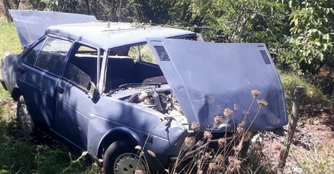 Ağaçlık alana uçan otomobilin sürücüsü yaralandı