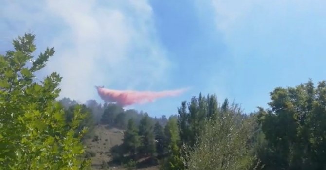 Antalya’da çıkan orman yangını kısmen kontrol altına alındı