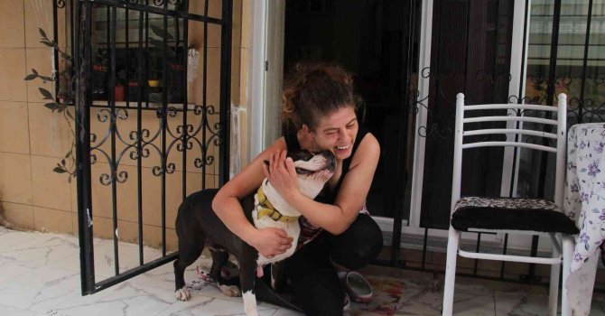 Uyutulmak istenen köpeğe kıyamadı, komşusuyla karakolluk oldu