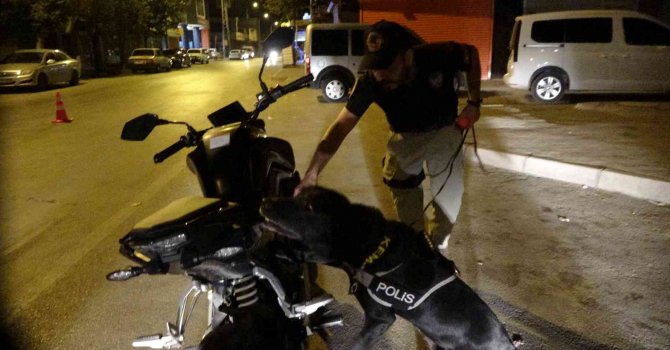 Huzur güven uygulamasında hassas burun görev başında