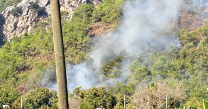 Antalya Adrasan’da orman yangını