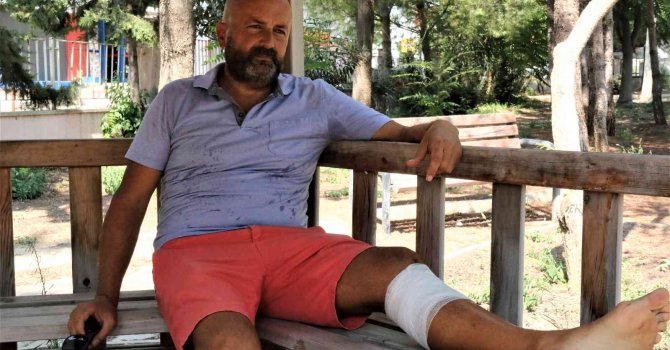 Çalınan köpeğini kurtarmak isterken bıçaklanıp ölümden döndü