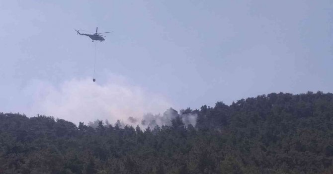 Şimşekler orman yangını çıkardı