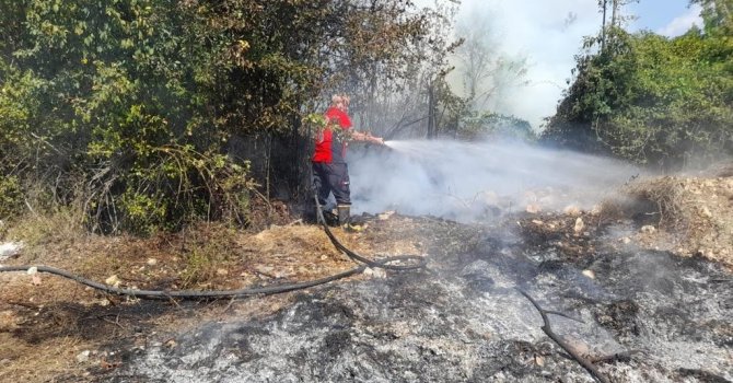 Mersin’de orman yangını kısa sürede söndürüldü
