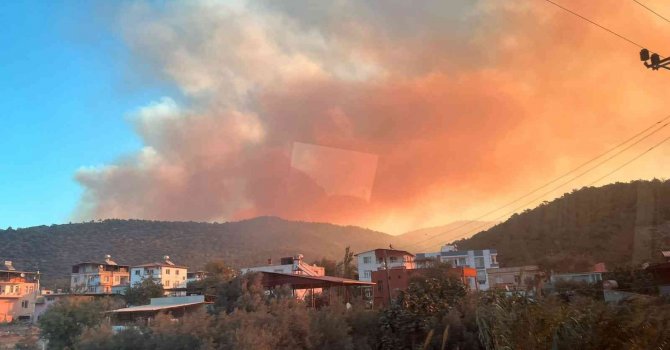 Mersin’de orman yangını: Havadan ve karadan müdahale için ekipler harekete geçti