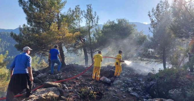 Kahramanmaraş’ta 6 noktada çıkan yangın söndürüldü, ormanları yakan şüpheli yakalandı