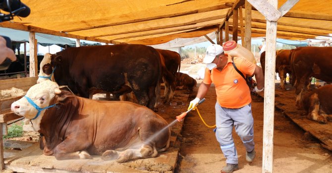 Kurban satış noktaları ilaçlanıyor