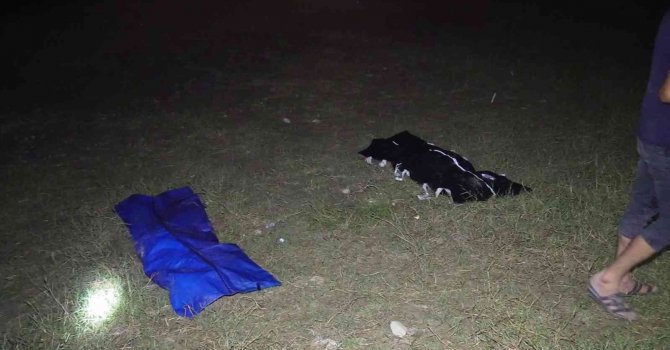 Adana’da 3 ayda 15’i çocuk 27 kişi boğuldu